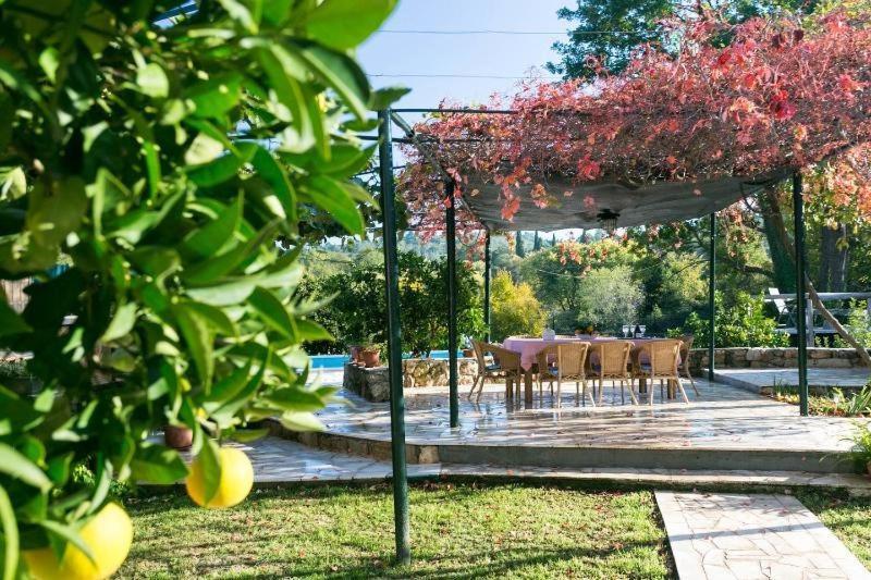 Rural Villa Forest With Private Pool Near Dubrovnik Gruda Kültér fotó